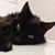 Mary Paulson's profile image
