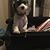 DougandDebbie Smith's profile image