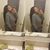 Nikkii Marissa Gordon's profile image