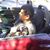 Jose Cajigas's profile image