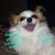 Kathy Franklin's profile image