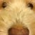 Keith Tarchinski's profile image