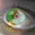 Elkhaldi Nader's profile image