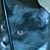 Marjorie Kitselmsn's profile image