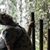 Kalab Knott's profile image