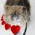 Kathy Brenner's profile image