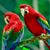 Carlos Millan Valencia's profile image