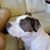 Lynn Rovagna's profile image