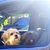 Tina Lewis Shockley's profile image