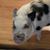 Peggy Brooks's profile image