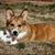 Diane McGrew's profile image