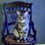 Deborah DeCarlo's profile image