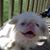 Barb O'Brien's profile image