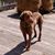 Bonnie Woody Williams's profile image