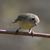 Debra Bouley Groves's profile image