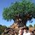 Dave Lockney's profile image