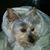 Donna Marshall's profile image