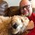David Tinnell's profile image