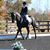 Candee Wagenfohr Niss's profile image