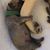 Joyce Quinn Maher's profile image
