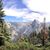 Rebekah Lindquist Russell's profile image