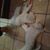 Bob Stoney Stonestreet's profile image