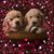 Sandra Walton's profile image