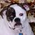 Chuck DeLuca's profile image