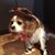 Gaylin Winkler's profile image