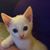 Linda Davis's profile image