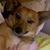 Lauren Surett's profile image
