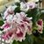 Sherry Zillmer-Nadeau's profile image