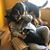 Anna Nyemchek Trombley's profile image