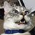 Valerie Tellyer-Wilkins's profile image