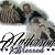 Richard Anderson's profile image
