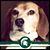 Michelle Pethke Simon's profile image