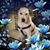 Donamarie Rawls Lawshe's profile image