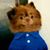 Bruce Chambers's profile image