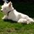 Karen Budelman's profile image