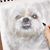 Gina Schiwitz Essner's profile image