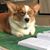 Catherine Haddix Mazurek's profile image