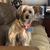 Carol Heller's profile image
