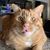 Lynn Libert Andrews's profile image