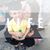 Diane Slack's profile image