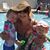 Kathleen Flint's profile image