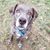 Maggie Hensley's profile image