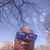 Angie C Manuel's profile image