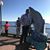 Julian Borrayo's profile image