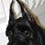 Bob Telio's profile image
