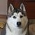 Jeanette DaBaldo's profile image
